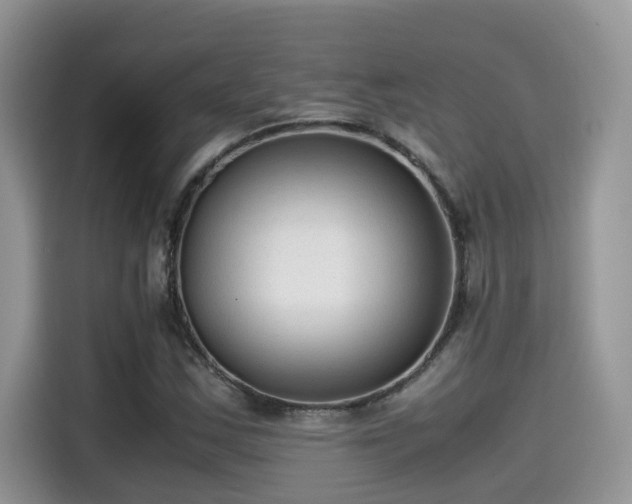 X0000115541163200911131538