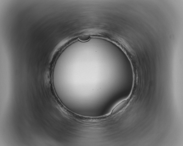 X0000115541164200911131538