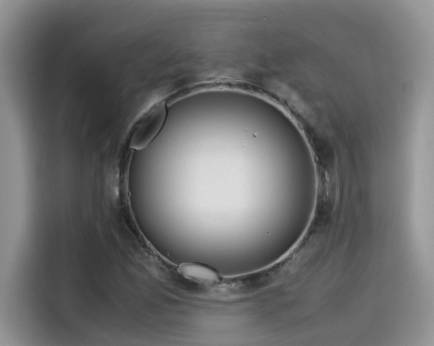 X0000115541165200911131538