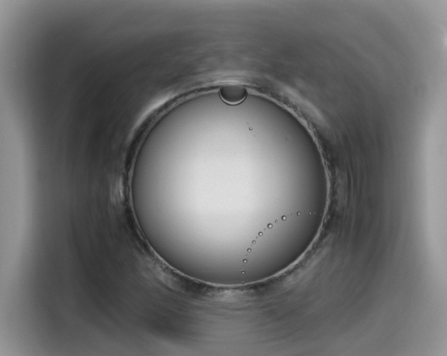 X0000115541166200911131538