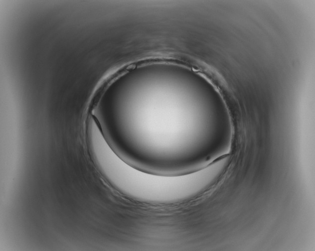 X0000115541168200911131538