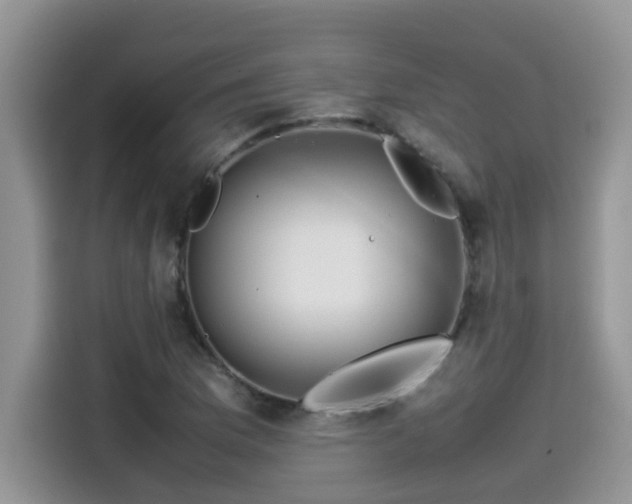 X0000115541169200911131538