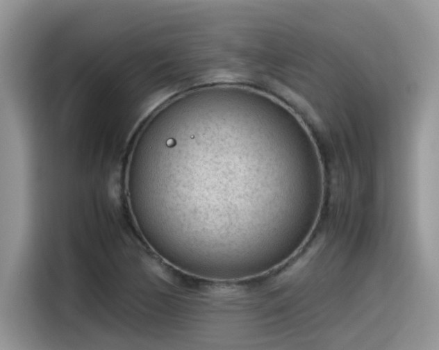 X0000115541170200911131538