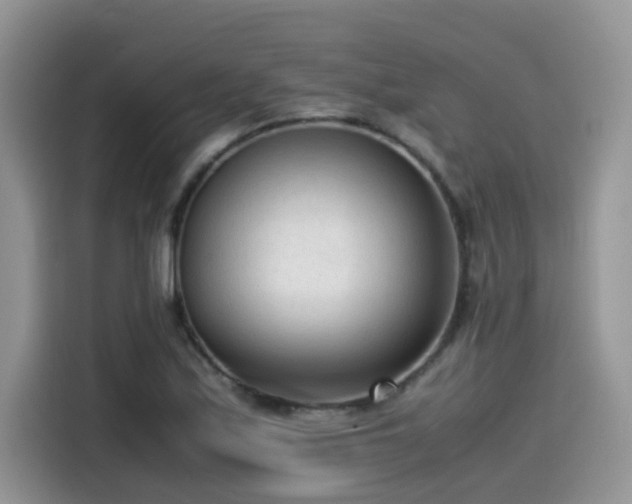 X0000115541171200911131538