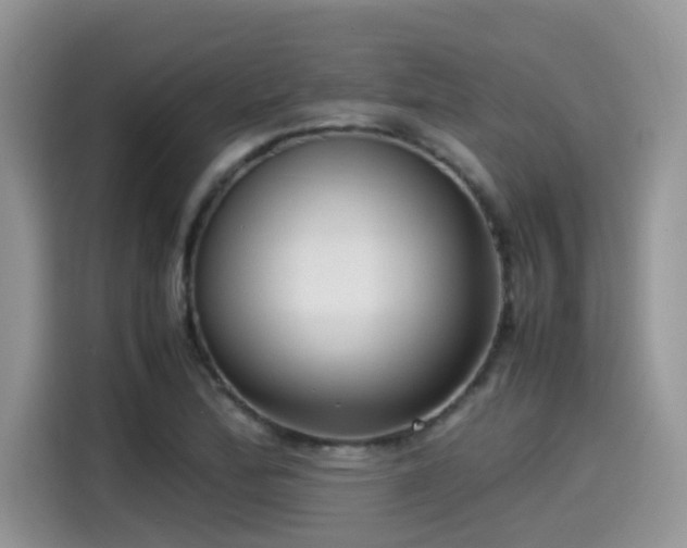 X0000115541172200911131538