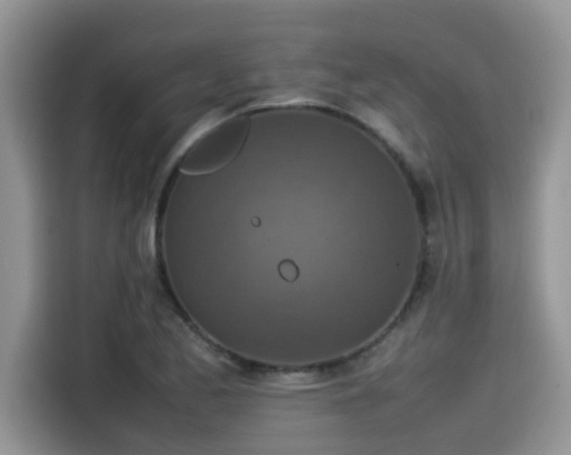 X0000115541173200911131538