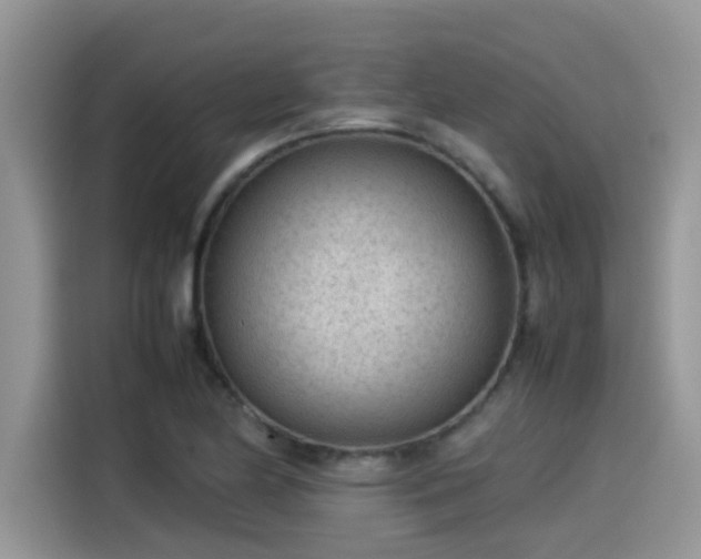 X0000115541174200911131538