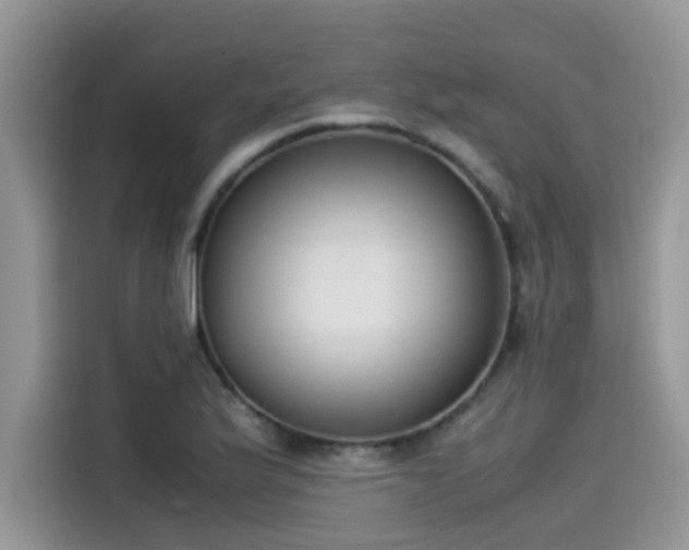 X0000115541175200911131538