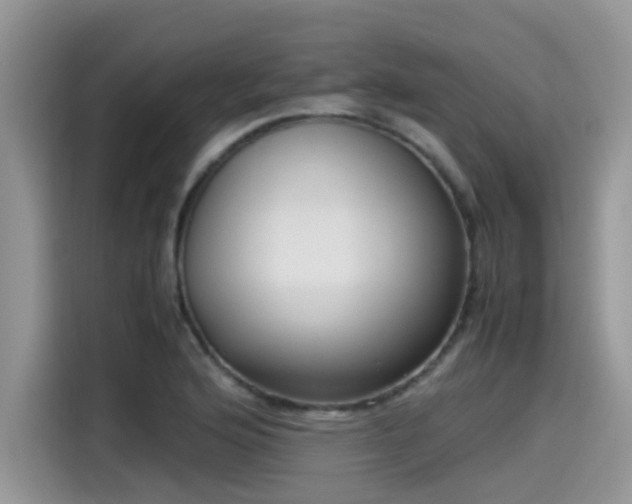 X0000115541176200911131538