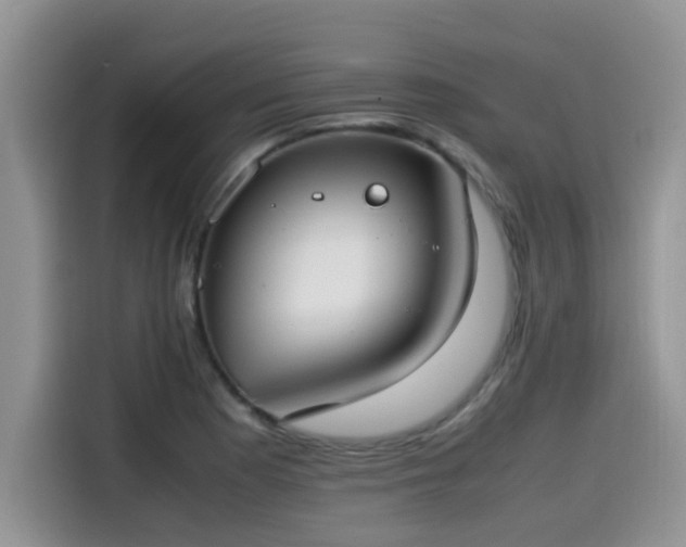 X0000115541177200911131538