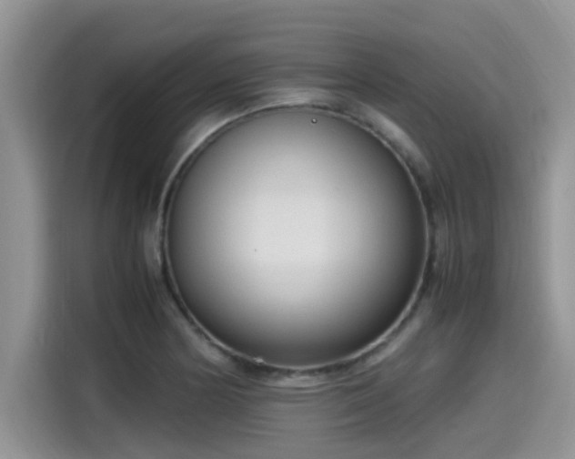 X0000115541178200911131538