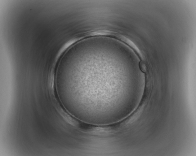 X0000115541179200911131538