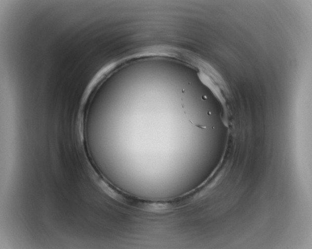 X0000115541180200911131538