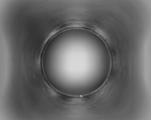 X0000115541181200911131538