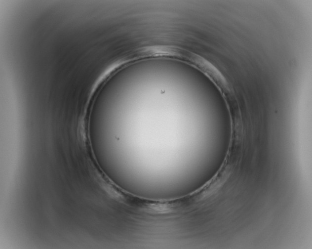 X0000115541182200911131538