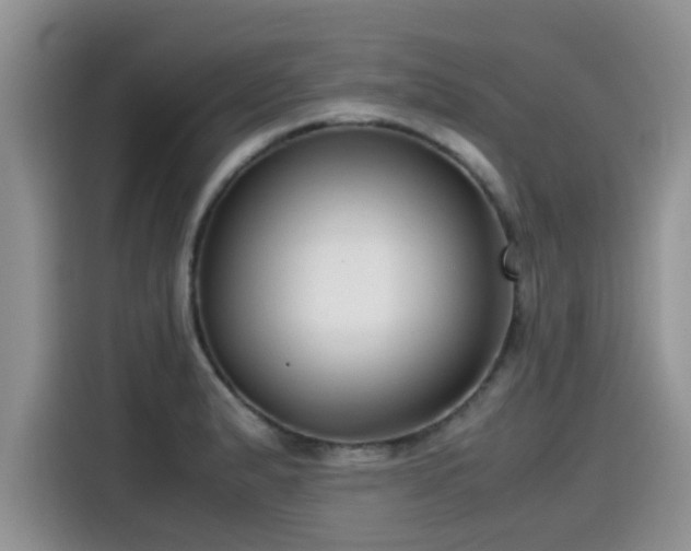 X0000115541183200911131538