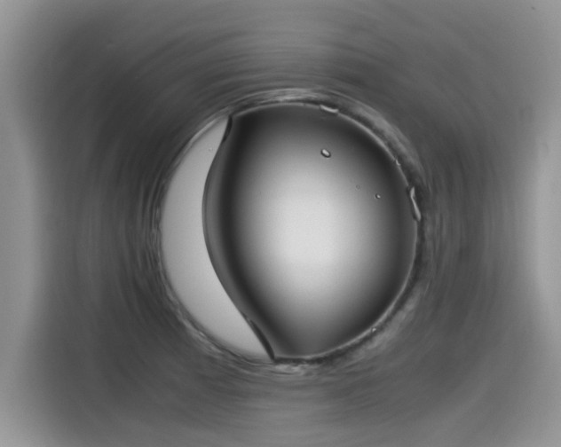 X0000115541185200911131538