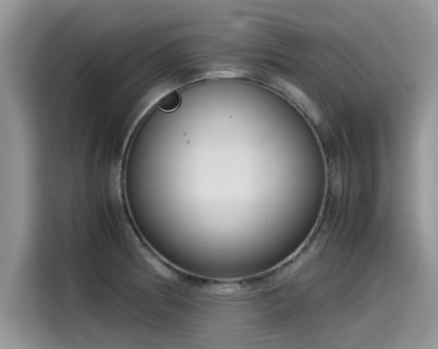 X0000115541186200911131538