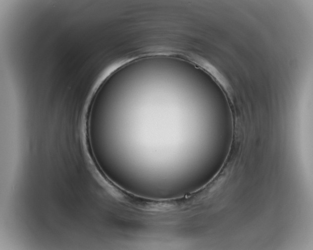 X0000115541187200911131538