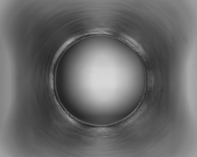 X0000115541188200911131538