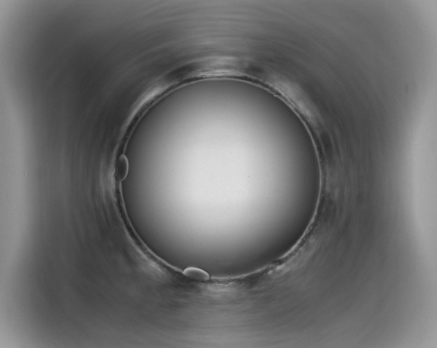 X0000115541189200911131538