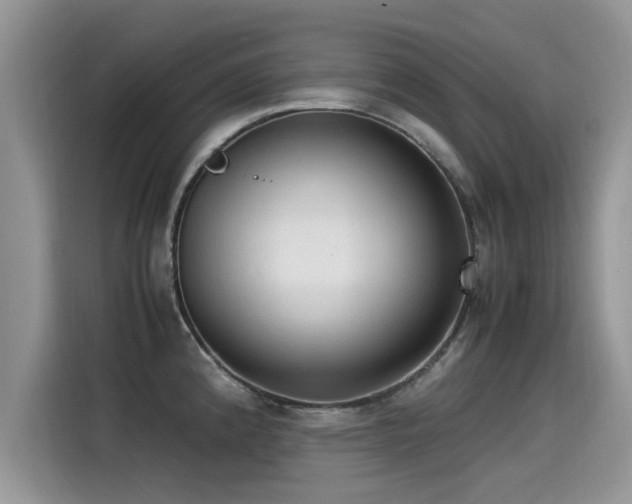 X0000115541192200911131538