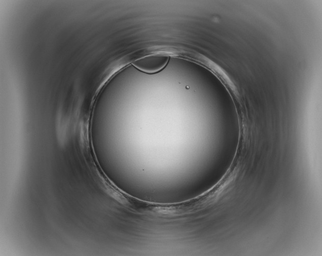 X0000115541194200911131538