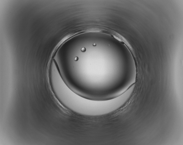 X0000115541195200911131538