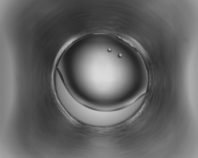 X0000115541196200911131538