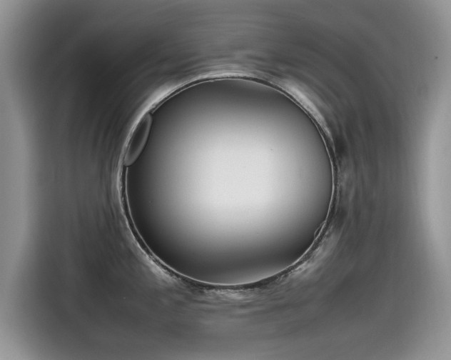 X0000115541197200911131538