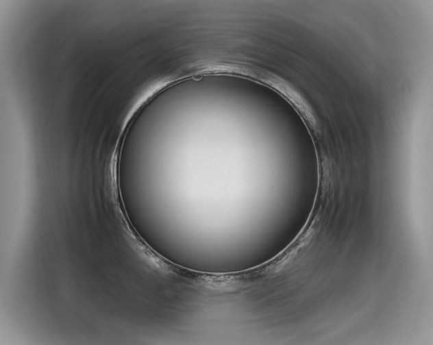 X0000115541198200911131538