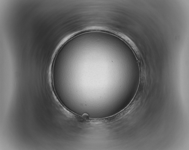 X0000115541199200911131538