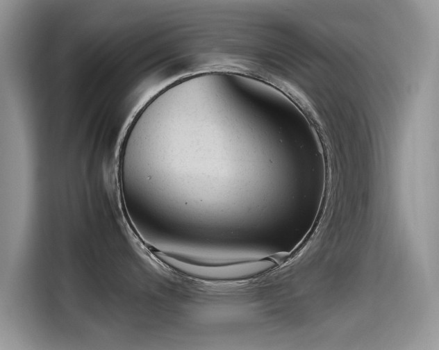 X0000115541200200911131538