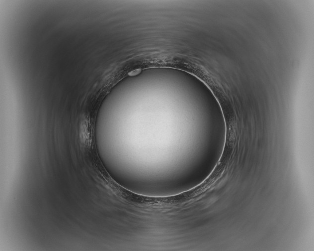 X0000115541202200911131537