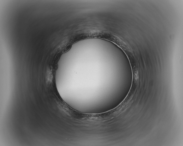 X0000115541204200911131537