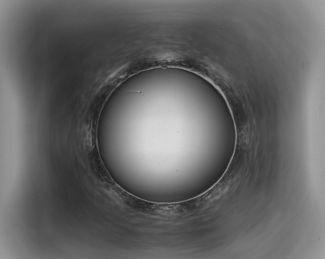 X0000115541205200911131537