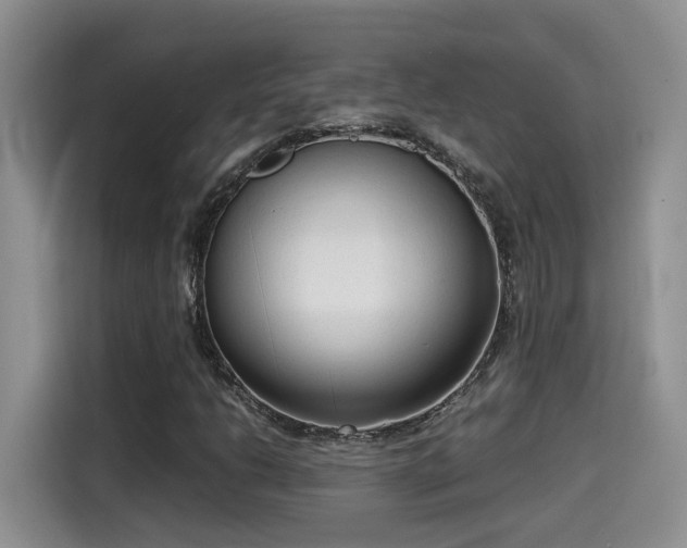 X0000115541206200911131537