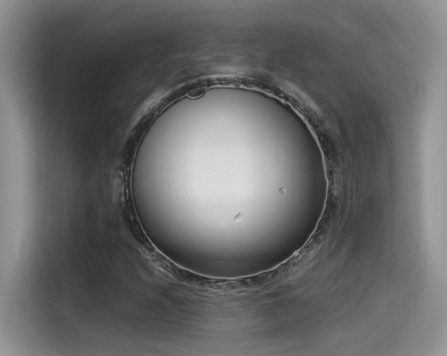 X0000115541208200911131537