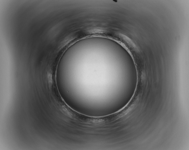 X0000115541209200911131537