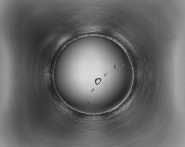 X0000115541210200911131537