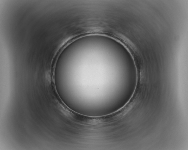 X0000115541212200911131537