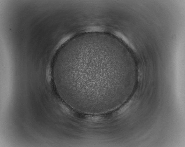 X0000115541213200911131537