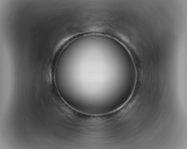 X0000115541214200911131537