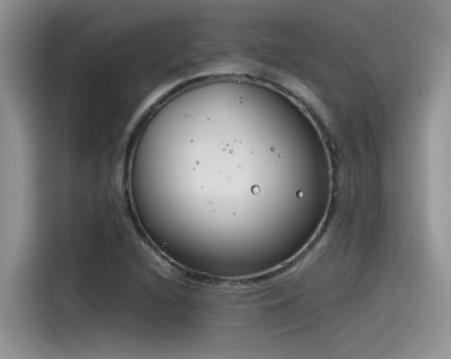 X0000115541216200911131537