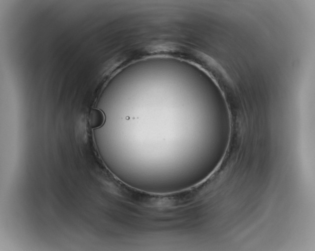 X0000115541217200911131537