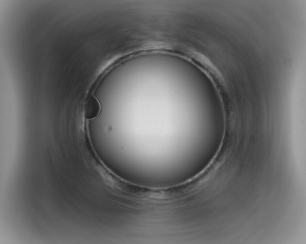 X0000115541220200911131537