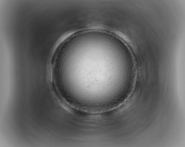 X0000115541223200911131537