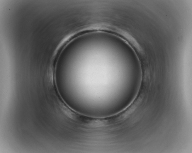 X0000115541224200911131537