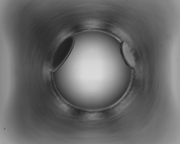 X0000115541225200911131537