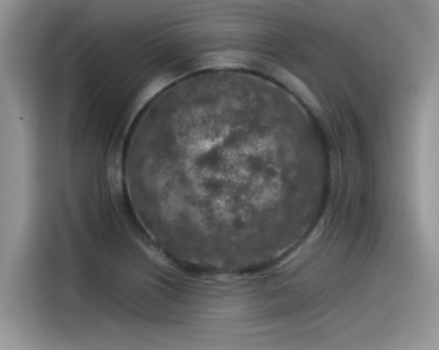 X0000115541226200911131537